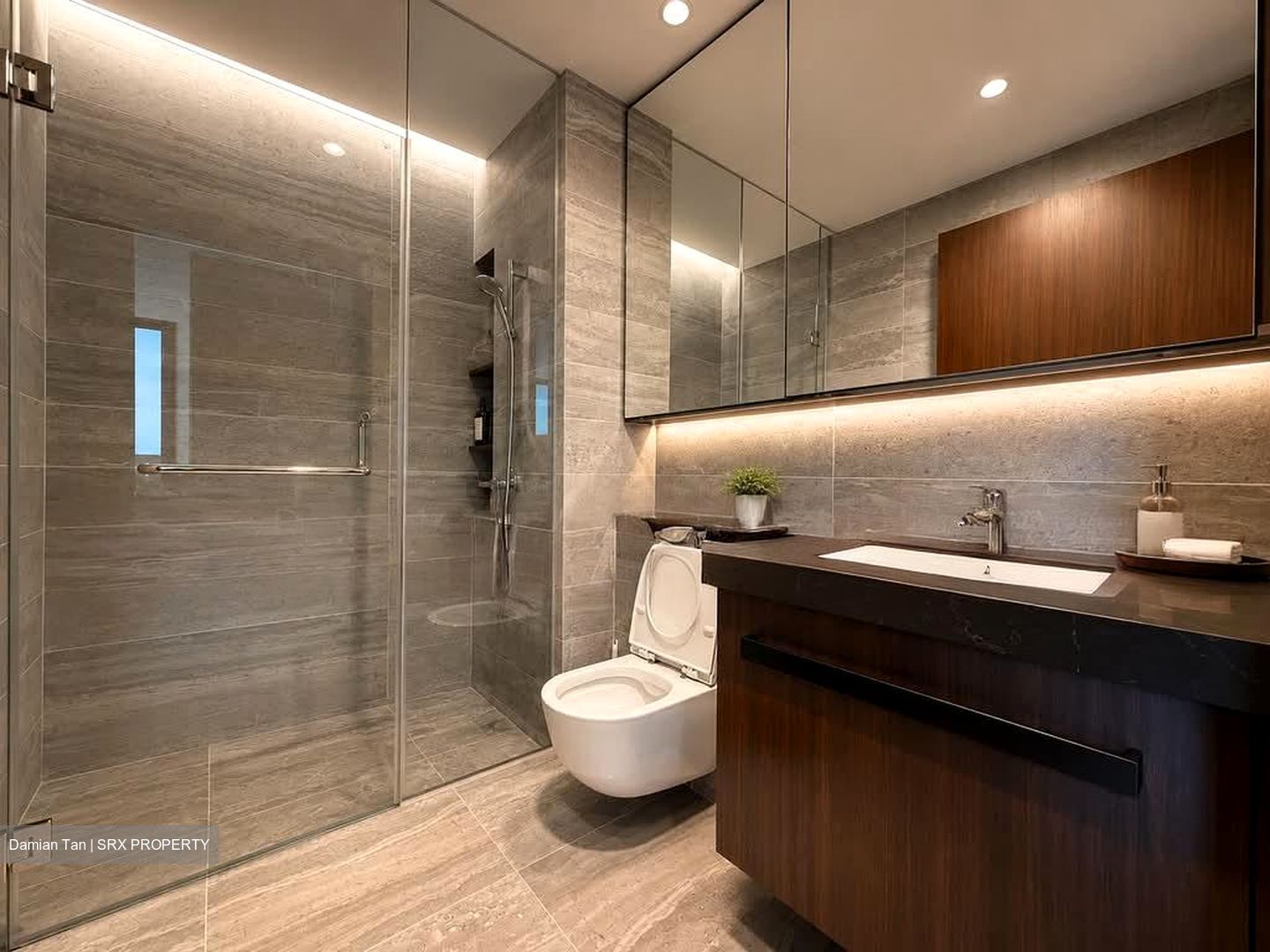 One Pearl Bank (D3), Apartment #580855021